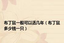布丁鼠一般可以活几年（布丁鼠多少钱一只）
