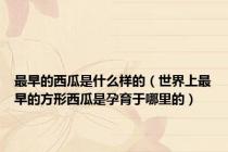 最早的西瓜是什么样的（世界上最早的方形西瓜是孕育于哪里的）