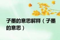子墨的意思解释（子墨的意思）