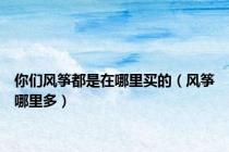 你们风筝都是在哪里买的（风筝哪里多）