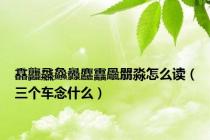 馫龘飝鱻灥麤靐飍朤淼怎么读（三个车念什么）