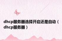 dhcp服务器选择开启还是自动（dhcp服务器）