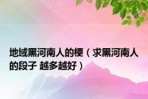 地域黑河南人的梗（求黑河南人的段子 越多越好）