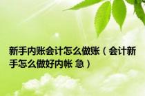 新手内账会计怎么做账（会计新手怎么做好内帐 急）