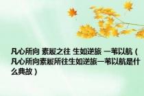 凡心所向 素履之往 生如逆旅 一苇以航（凡心所向素履所往生如逆旅一苇以航是什么典故）