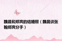 魏晨和郑爽的结婚照（魏晨谈张翰郑爽分手）