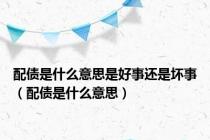 配债是什么意思是好事还是坏事（配债是什么意思）