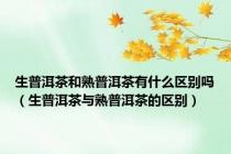 生普洱茶和熟普洱茶有什么区别吗（生普洱茶与熟普洱茶的区别）