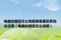 电脑休眠后怎么唤醒屏幕重装系统也没用（电脑休眠后怎么唤醒）