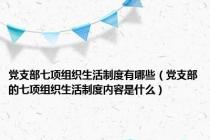 党支部七项组织生活制度有哪些（党支部的七项组织生活制度内容是什么）