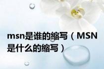 msn是谁的缩写（MSN 是什么的缩写）