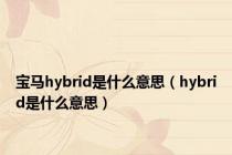 宝马hybrid是什么意思（hybrid是什么意思）