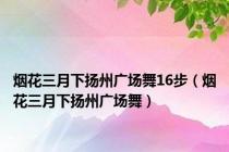 烟花三月下扬州广场舞16步（烟花三月下扬州广场舞）