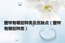 窗帘有哪些种类及优缺点（窗帘有哪些种类）