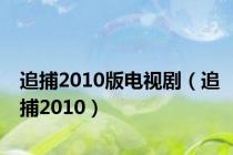 追捕2010版电视剧（追捕2010）