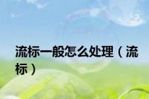 流标一般怎么处理（流标）