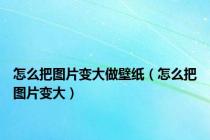 怎么把图片变大做壁纸（怎么把图片变大）