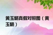 黄玉髓真假对照图（黄玉髓）