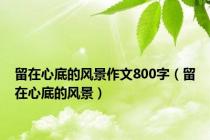 留在心底的风景作文800字（留在心底的风景）