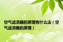 空气滤清器的原理有什么法（空气滤清器的原理）