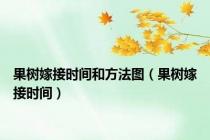 果树嫁接时间和方法图（果树嫁接时间）
