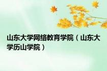 山东大学网络教育学院（山东大学历山学院）