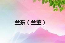兰东（兰董）