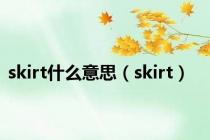 skirt什么意思（skirt）