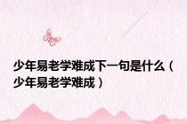 少年易老学难成下一句是什么（少年易老学难成）