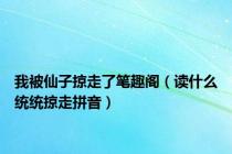 我被仙子掠走了笔趣阁（读什么统统掠走拼音）