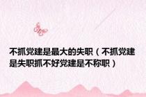 不抓党建是最大的失职（不抓党建是失职抓不好党建是不称职）
