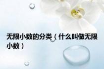 无限小数的分类（什么叫做无限小数）