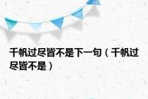 千帆过尽皆不是下一句（千帆过尽皆不是）