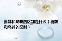 喜鹊和乌鸦的区别是什么（喜鹊和乌鸦的区别）
