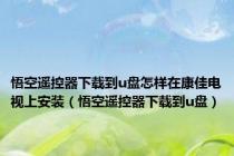 悟空遥控器下载到u盘怎样在康佳电视上安装（悟空遥控器下载到u盘）