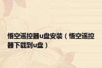 悟空遥控器u盘安装（悟空遥控器下载到u盘）