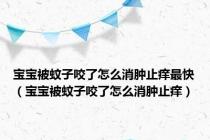 宝宝被蚊子咬了怎么消肿止痒最快（宝宝被蚊子咬了怎么消肿止痒）