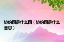 协约国是什么国（协约国是什么意思）