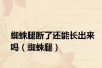 蜘蛛腿断了还能长出来吗（蜘蛛腿）