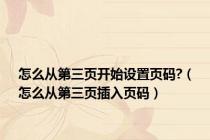 怎么从第三页开始设置页码?（怎么从第三页插入页码）