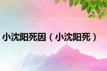 小沈阳死因（小沈阳死）