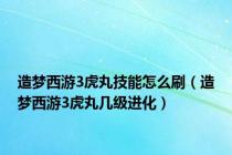 造梦西游3虎丸技能怎么刷（造梦西游3虎丸几级进化）