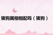 猪狗属相相配吗（猪狗）