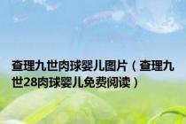 查理九世肉球婴儿图片（查理九世28肉球婴儿免费阅读）