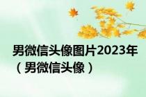 男微信头像图片2023年（男微信头像）