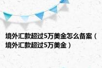 境外汇款超过5万美金怎么备案（境外汇款超过5万美金）