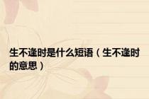 生不逢时是什么短语（生不逢时的意思）