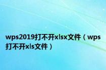 wps2019打不开xlsx文件（wps打不开xls文件）
