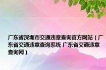 广东省深圳市交通违章查询官方网站（广东省交通违章查询系统 广东省交通违章查询网）
