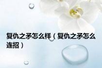 复仇之矛怎么样（复仇之矛怎么连招）